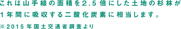 これは山手線の面積を２.5倍にした土地の杉林が１年間に吸収する二酸化炭素に相当します。※2015年国土交通省調査より