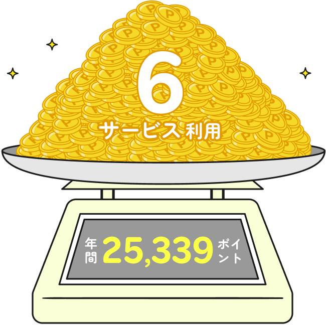 6サービス利用 年間25,339ポイント